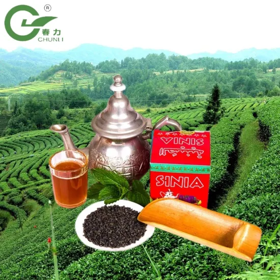 Premium Chinese Green Tea 3505 Gunpowder Morocco Tea Cheap Gunpowder Tea